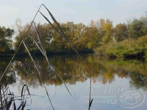 A gyönyörű olaj-sima felszín minden víz alatti mozgást megmutatott