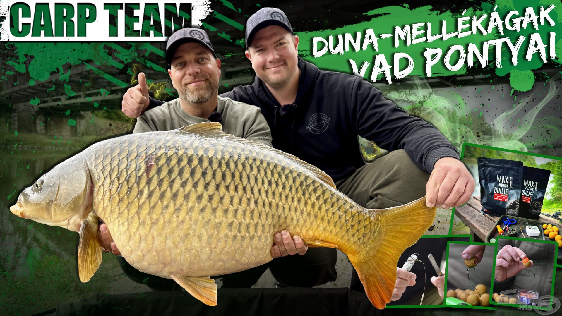 Duna-mellékágak vad pontyai