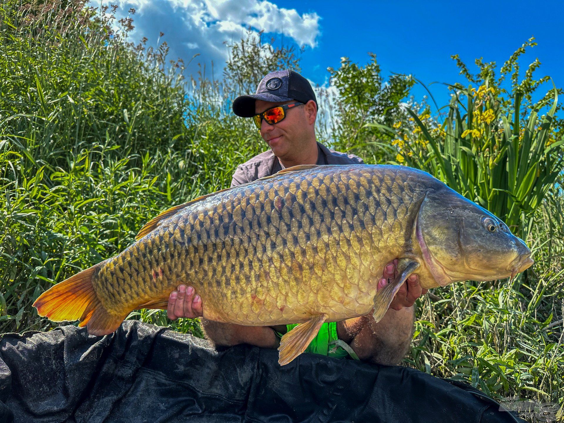 Fenséges, sokat látott dunai tőponty
