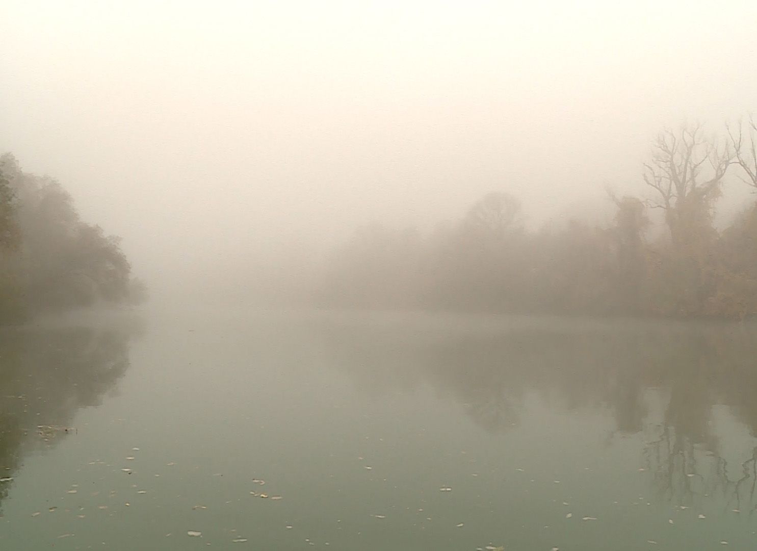 Ködös őszi reggel – igazi csukázó idő!