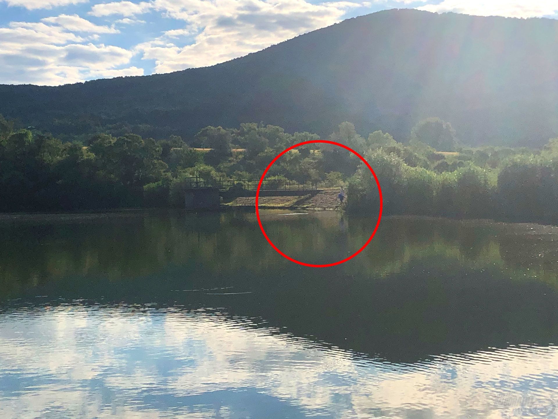 A bokor sarkát dobáltam meg a gombócokkal