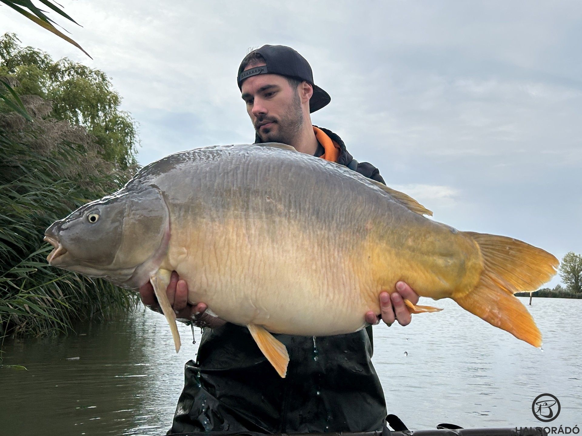 Egy felejthetetlen horgásztúra a Tokaji Kovács-tónál: 30 kg felett!