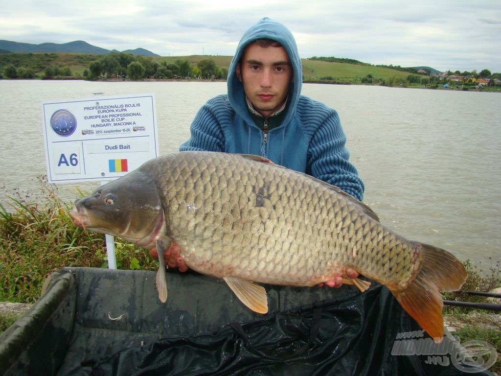 Dudi Bait mégegyszer