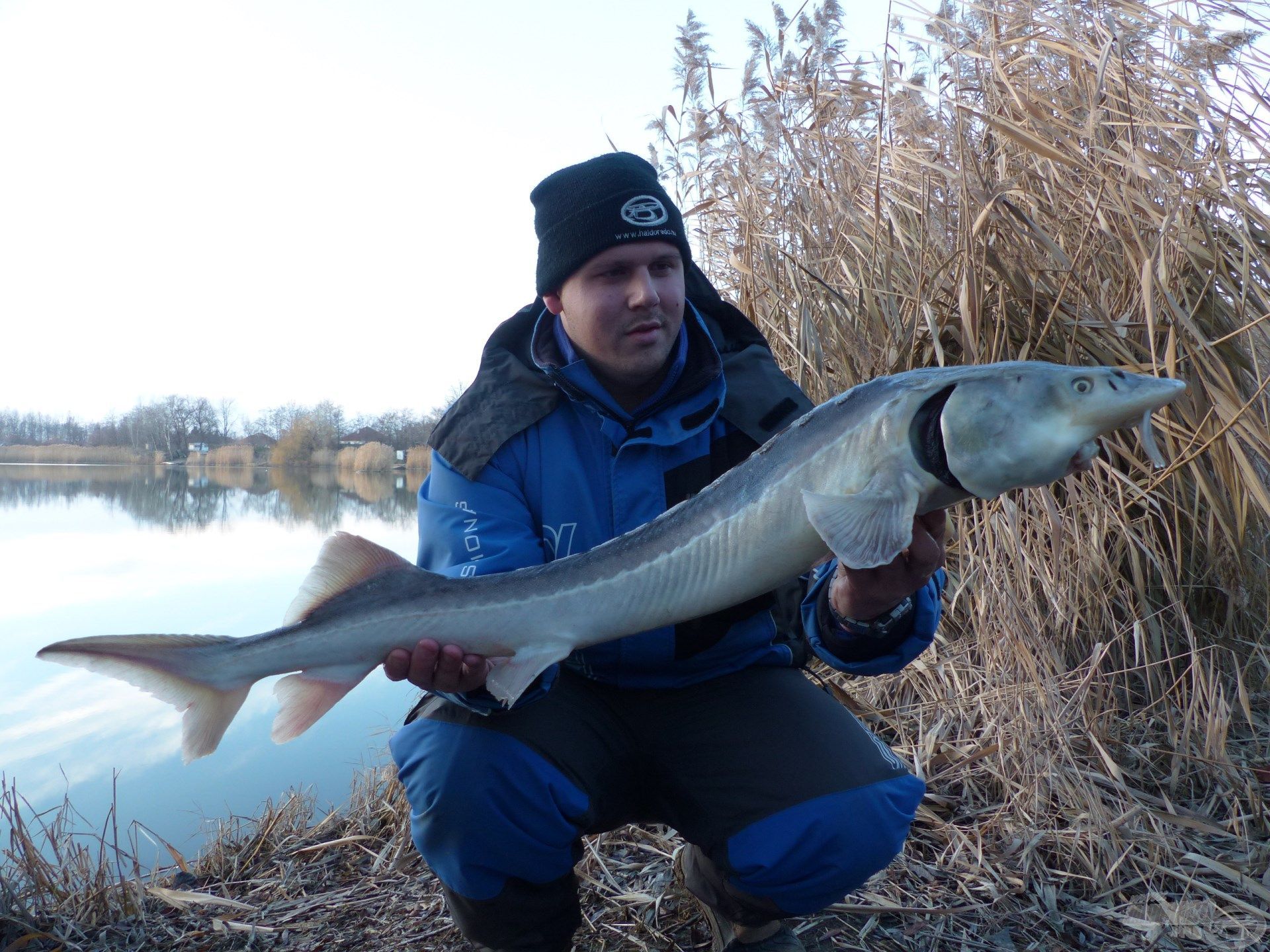 A Szénás-Carp Horgásztó adott otthont ezeknek a horgászatoknak. A tokhalak rendkívül jól foghatók a hideg vízben is