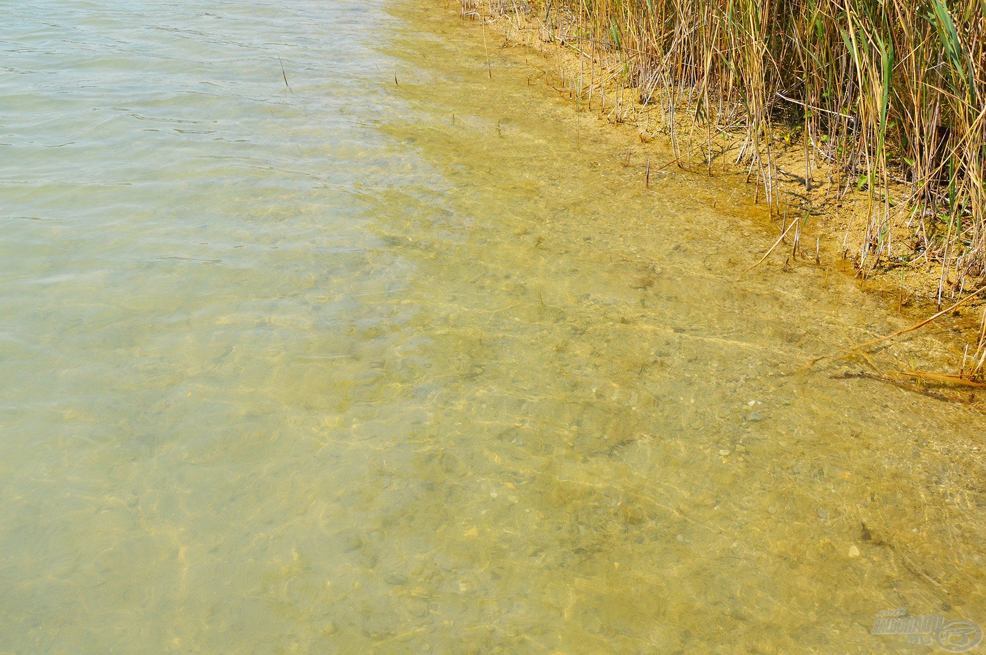 Ezt a tavat gyönyörű környezet és kristálytiszta víz jellemzi. Napsütéses időben a víz szélén sétálva olyan, akár egy tengerpart…