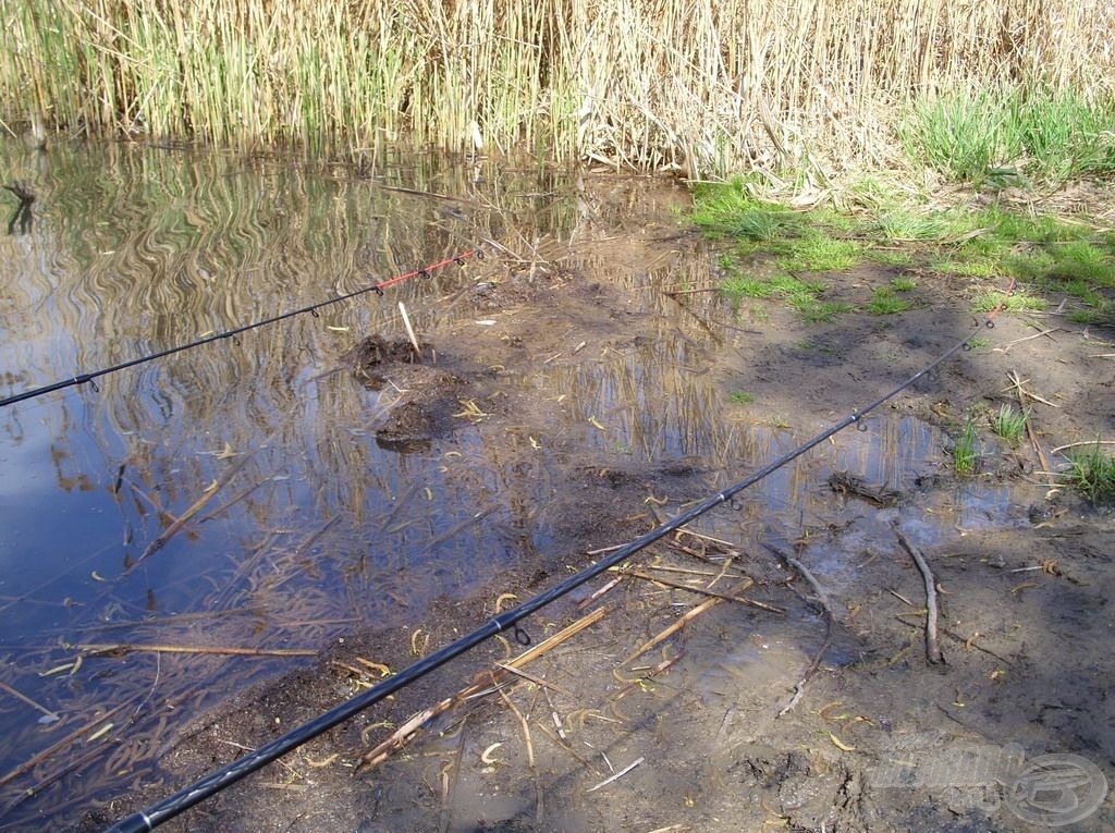 Alig vártam, hogy újra akcióban legyenek