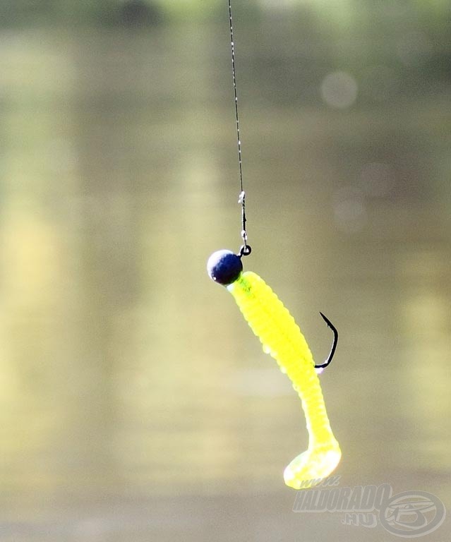 Harcsára hangolva a twister vagy gumihal?