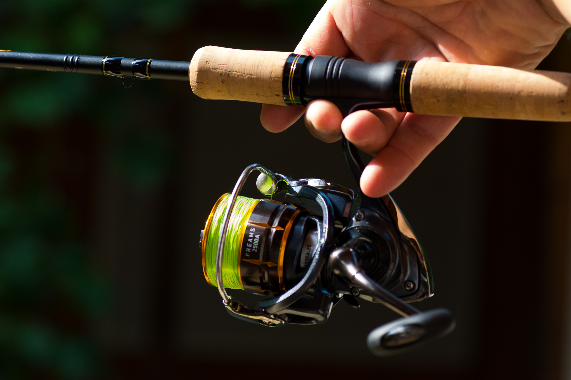 Pofás kis orsó a Daiwa Freams 2500, komoly fékerővel