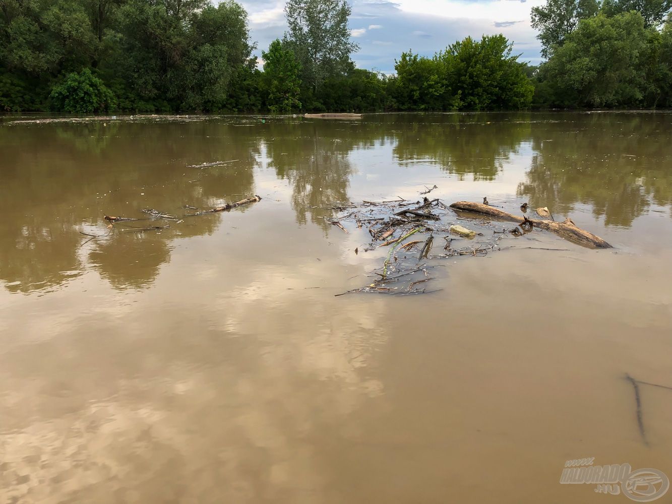 A Tisza ilyenkor először kevesebb, majd egyre és egyre több uszadékot hoz