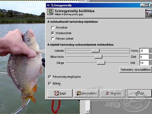 Színegyensúly beállítása (GIMP) - a középtónusok mellett külön állítható a nagyobb intenzitású és a sötétebb pixelek színe is