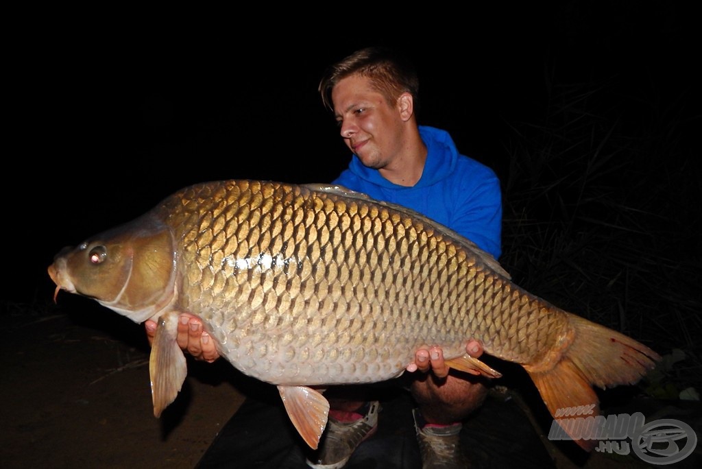 Kézben az első igazán nagytestű hal. E hibátlan tőponty 11,36 kg-os súlya már igazán tekintélyt parancsoló. Az ananászos Nagyhal Csalinak nem tudott ellenállni