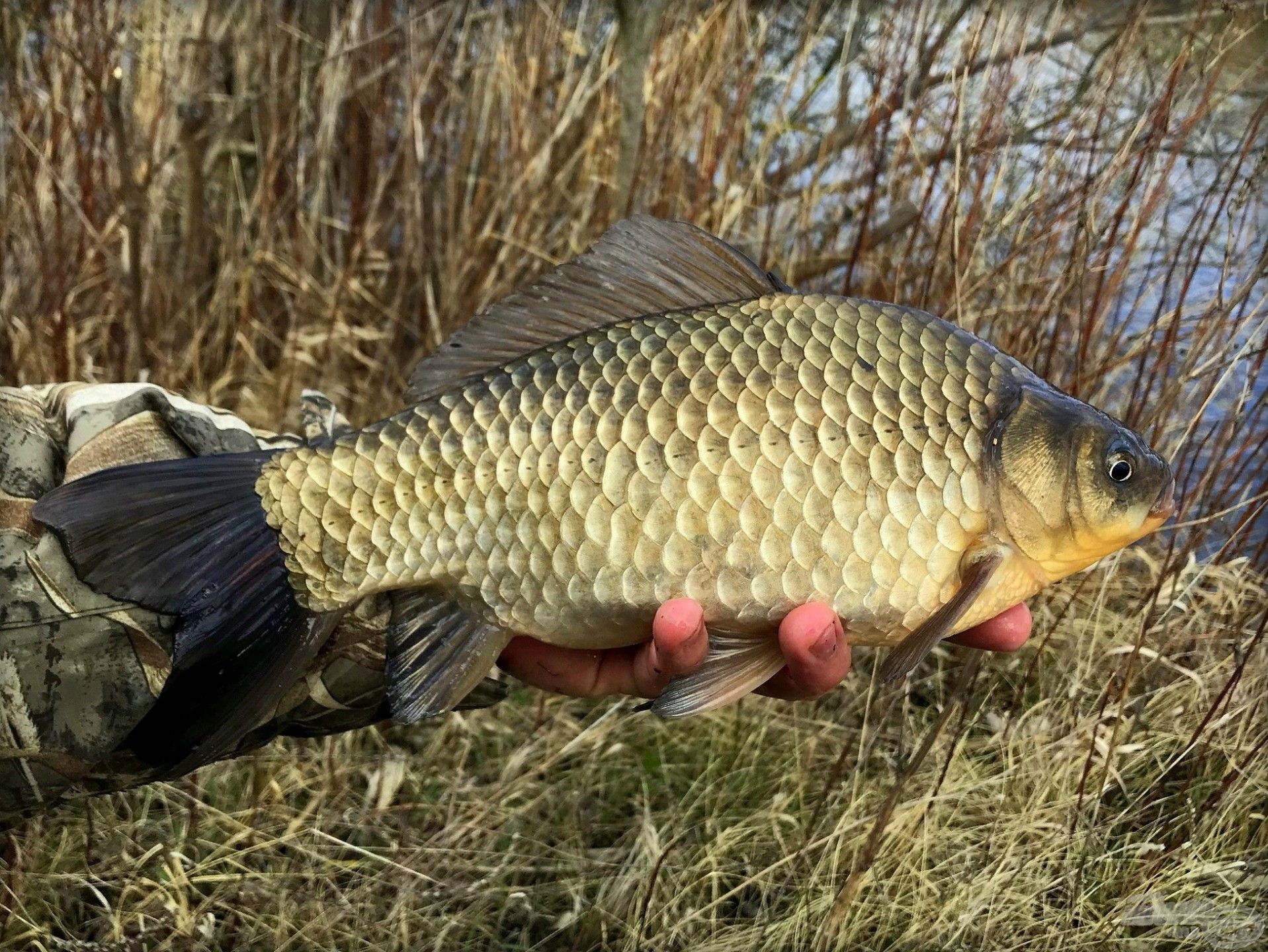 Nagy öröm, amikor megérkezik az első…