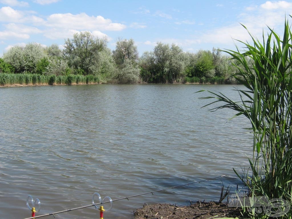 A helyszín a Benta horgászpark 7-es számú nagy tava