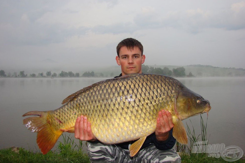 Gyönyörű pikkelyes, 14,12 kg