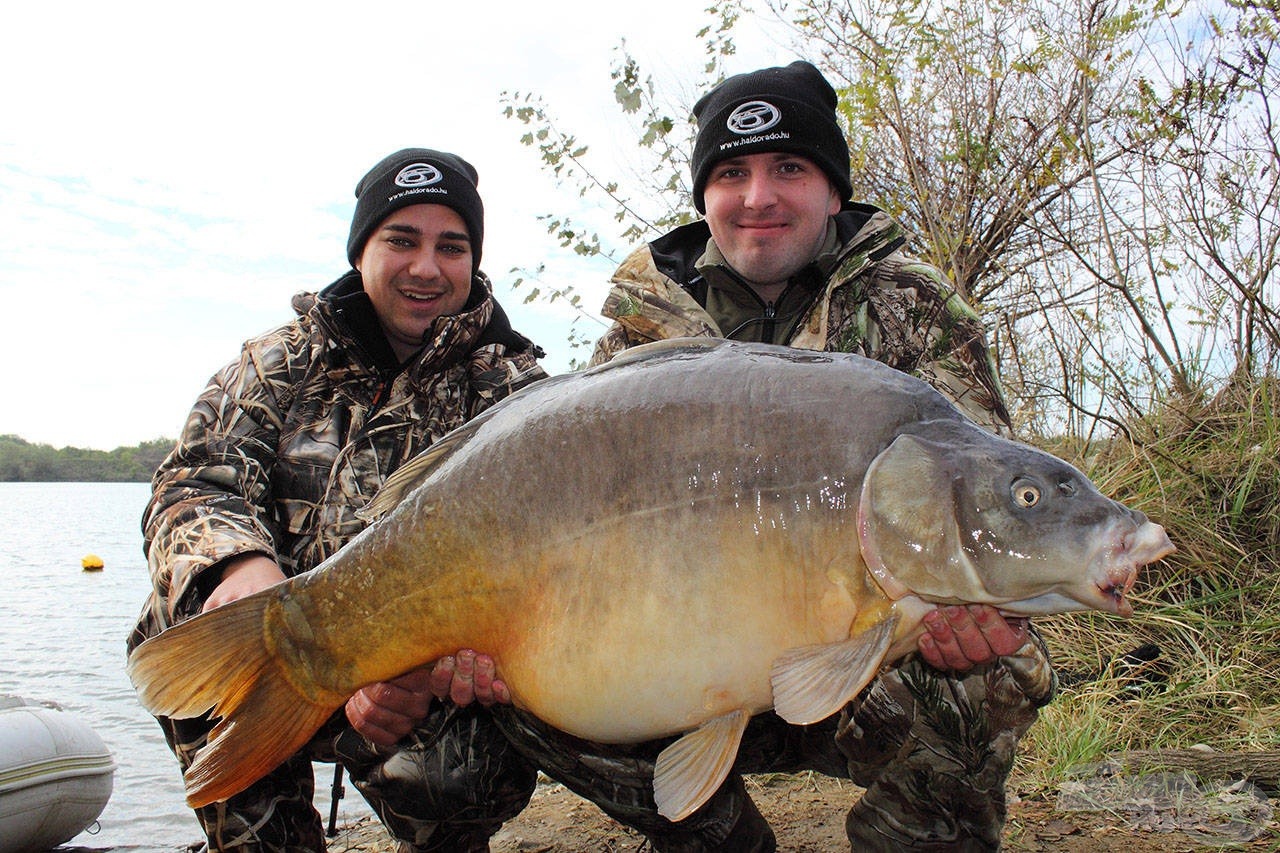 Dupla 24-es Big Wafters - Black Squid „áldozata” ez a csodás példány, ami a Lökösházi Kavicsbánya Horgásztó rekordpontya