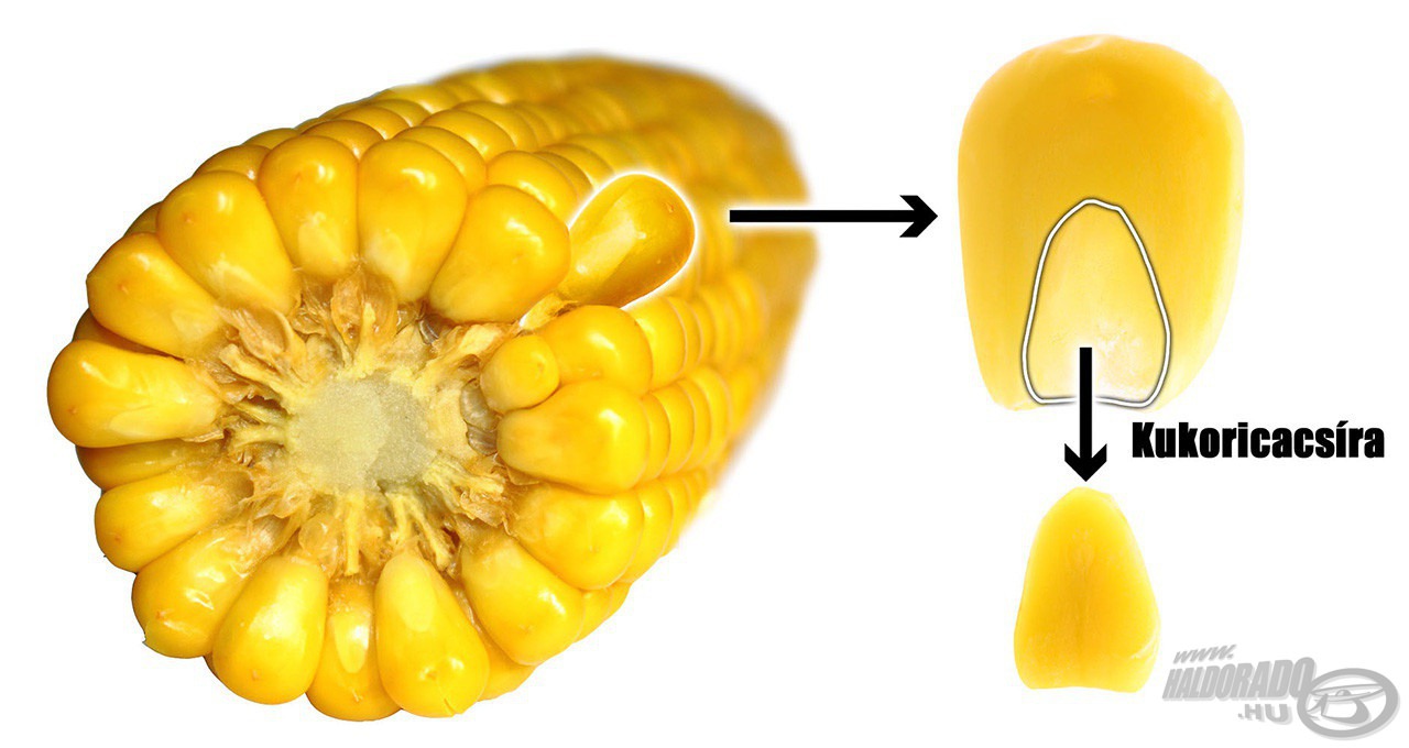 Az egész alapja a kukoricacsíra, ami minden olyat tartalmaz, ami a halaknak értékes tápanyagot jelent