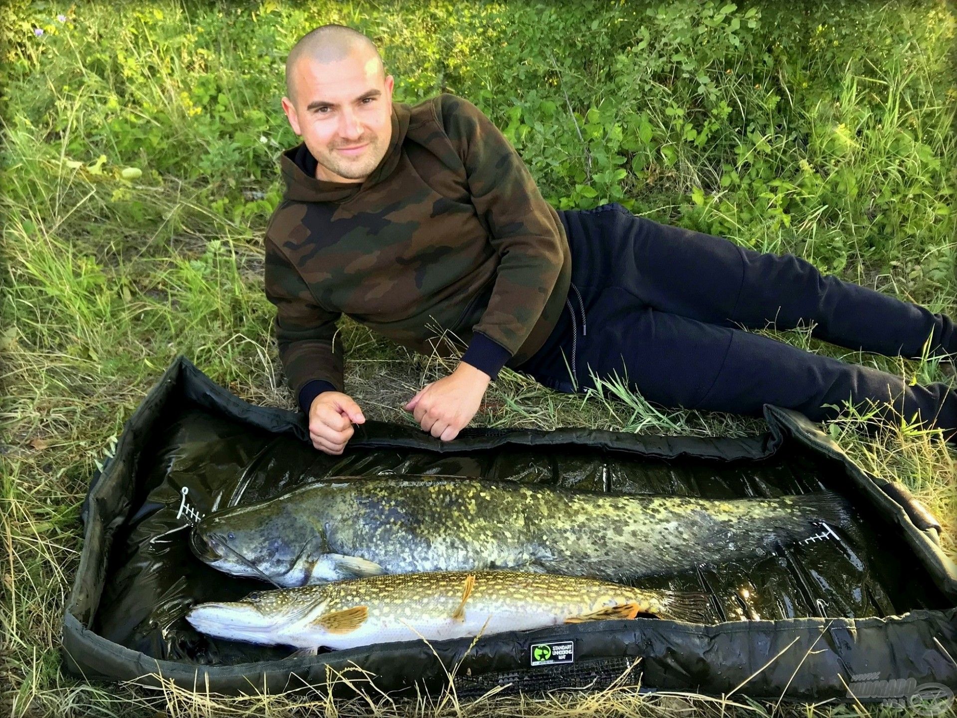 Ilyen szép jó reggelt kívánok mindenkinek!