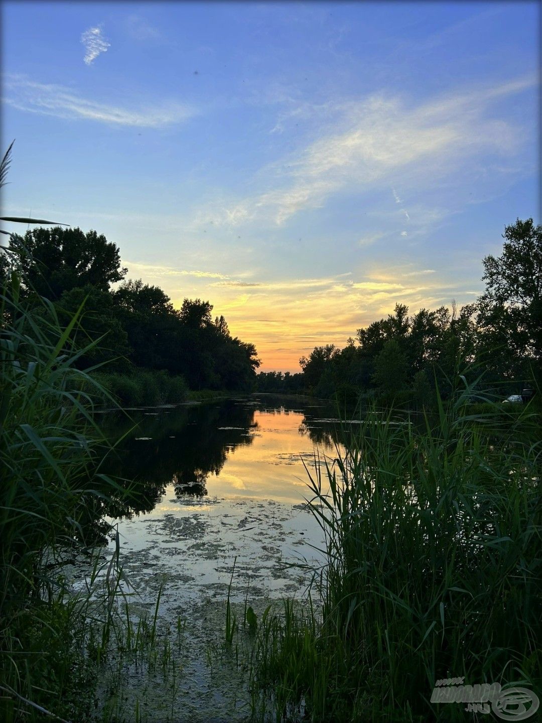 … nem csak a parton…