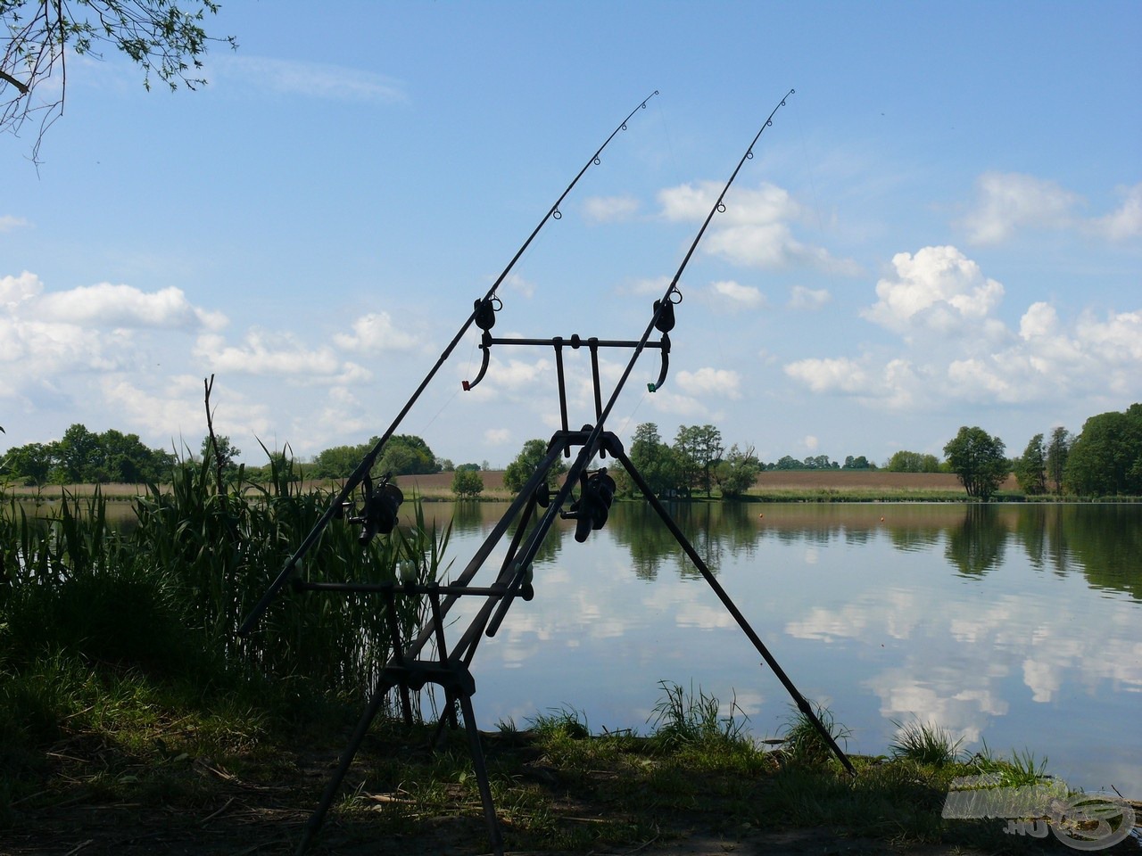 Természetesen az utolsó napra kisimult a vízfelszín