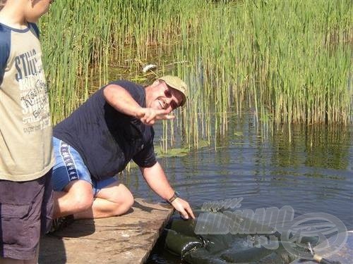 A visszaengedés leírhatatlan pillanatai! Minden halat kíméletesen kezeltünk, sebeiket lefertőtlenítettük és fényképezés után visszahelyeztük éltető elemükbe. Azt hiszem, ezek ma már szokványos mozdulatok