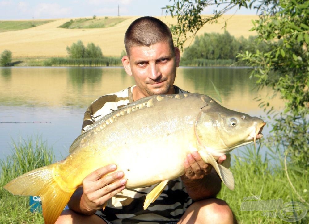 A hatodik pontyom 8,15 kg, és igencsak küzdött az életéért, nem tudhatta, hogy fénykép után újra szabad