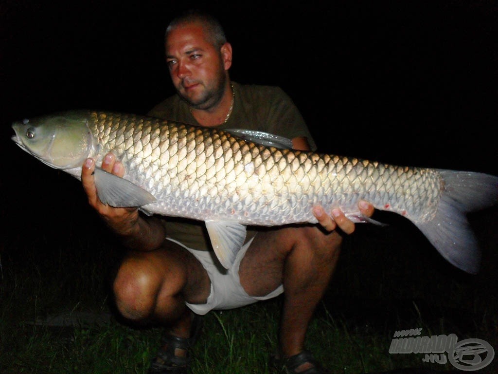 7,20 kg-os torpedó