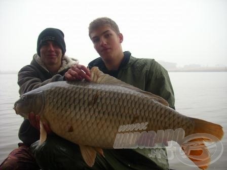 Imre és szépséges, 16,1 kg-os tövese