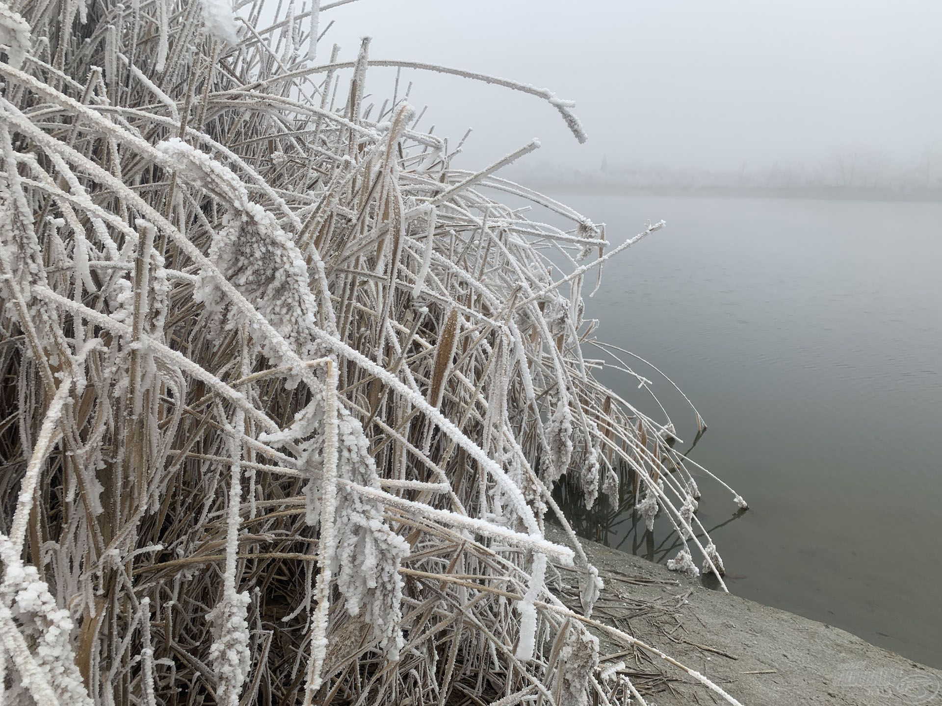 A hideg, zúzmarás időjárás sem szegte kedvét és titkon még egy nagy fogásban bizakodott