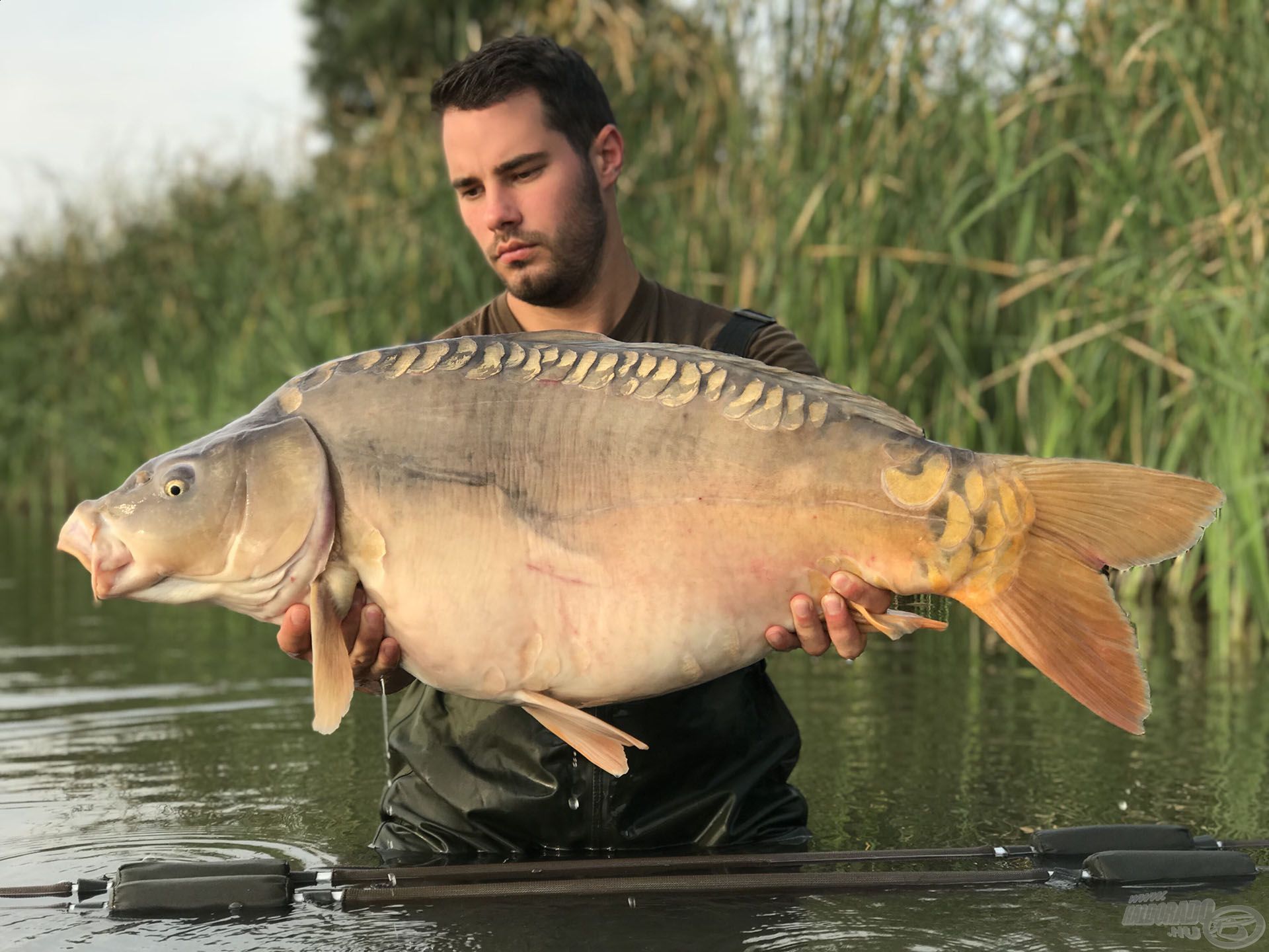 Egy hibátlan, 14,2 kg-os tükrös