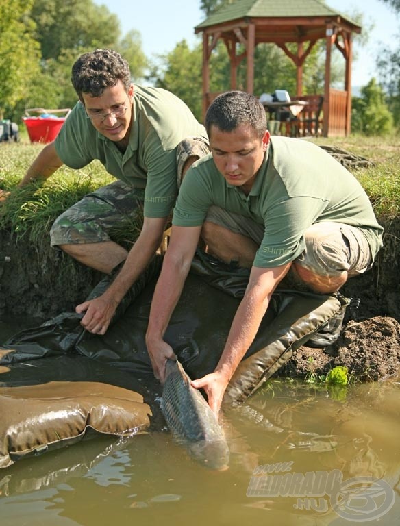 A halakkal való kíméletes bánásmód mindennél fontosabb!