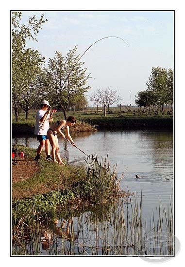 Horgásztó bemutató - Szellő-Horgásztó és Alcsi-Holt-Tisza Szabadidőközpont, Szajol