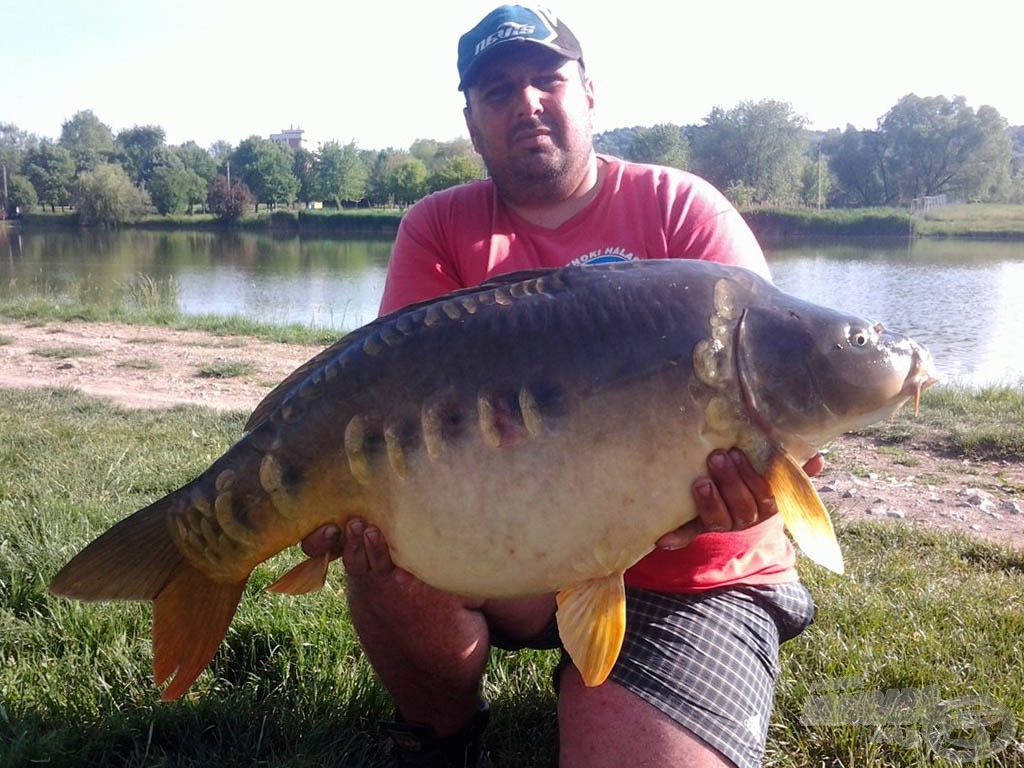 Bottesztnek sem utolsó! A Special Pellet Feeder első hala egy 15,7-es!