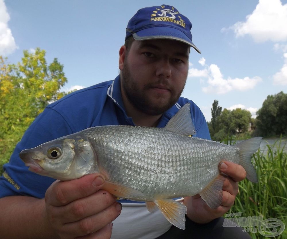 Egy szilvaorrú a szebbek közül