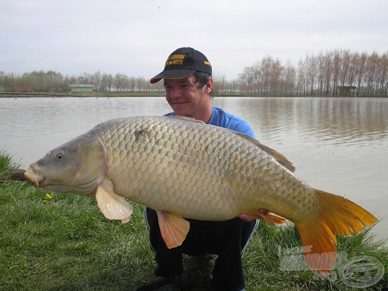 Az ide első tíz feletti pontyom, 12,9 kg-mal. Az átlagon felüli méretre, valamint a testfelépítésre tekintettel a halnak nevet is adtam. Mostantól a „Snake” névre fog hallgatni :-)