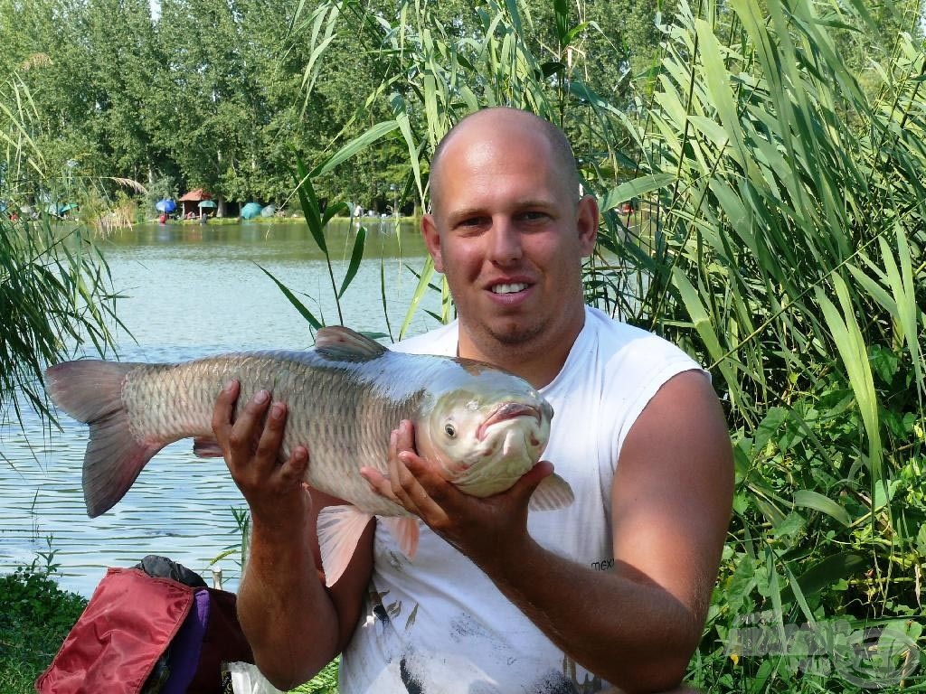 A pontyok mellett szép amurok is szákba kerültek