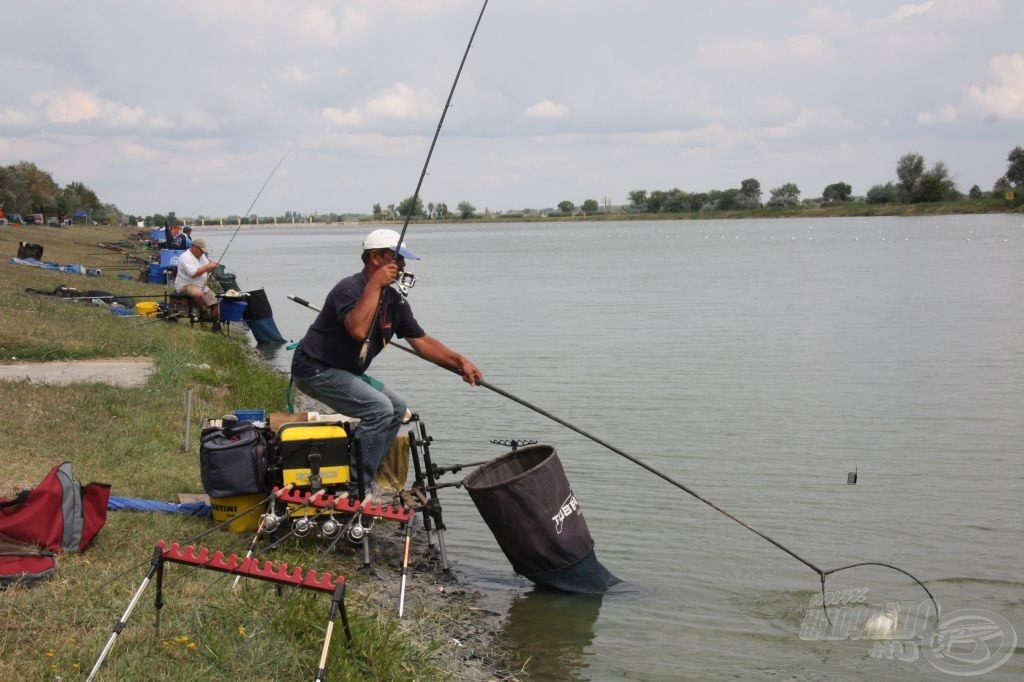 A segítők szerint Attila vezet a szektorában