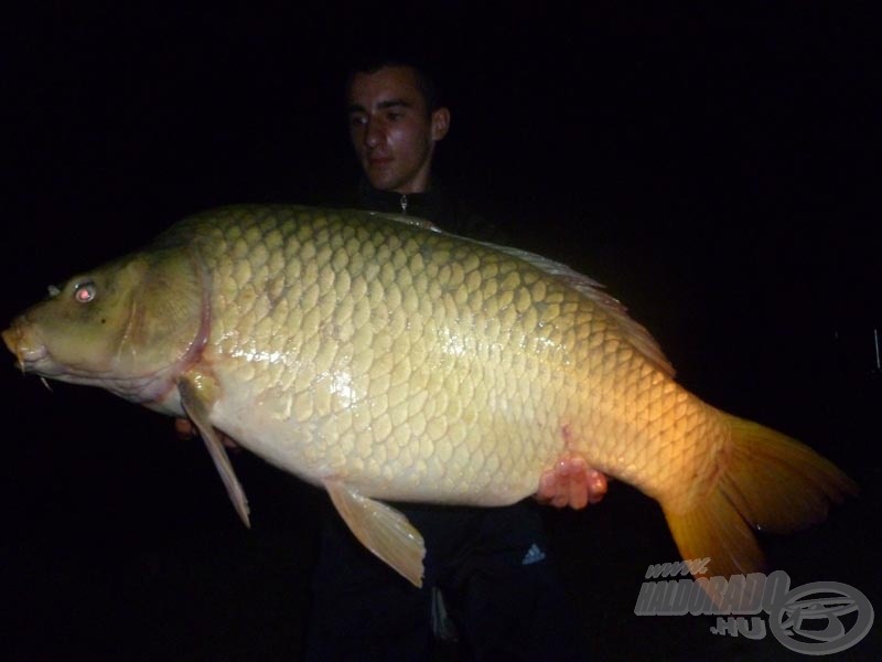 Zsolti a tábor legnagyobb hala, „Scooby” (15,02 kg) társaságában. Ő viszont már bojlira jött, méghozzá egy tesztelés alatt álló Magic Formula névre keresztelt modellre