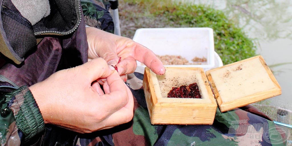 A szúnyog is fontos csali volt sokaknál ezen a napon