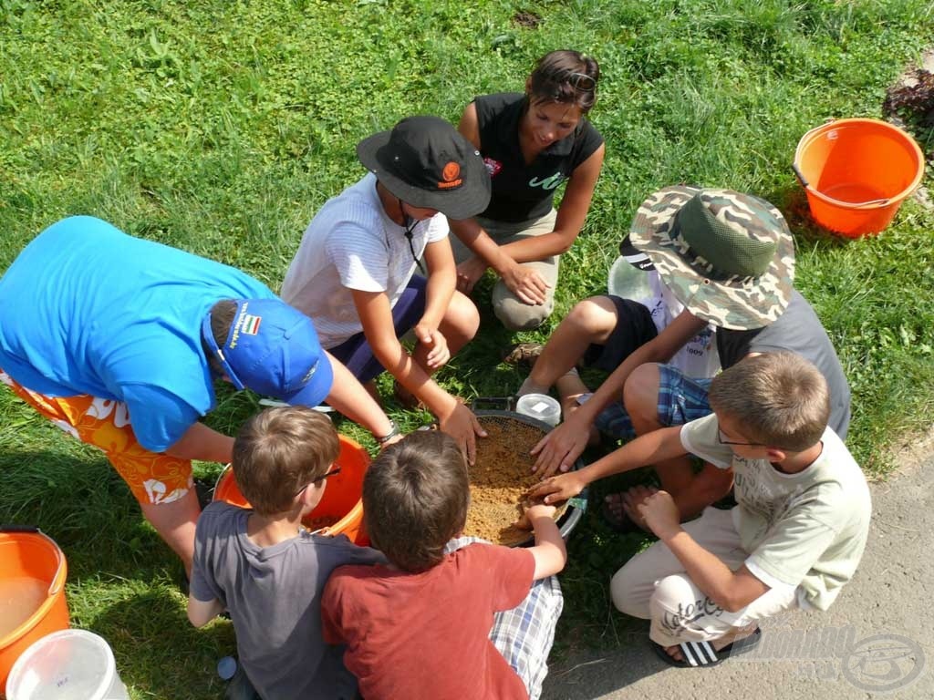 A közös etetőanyag keverés sem maradhatott el