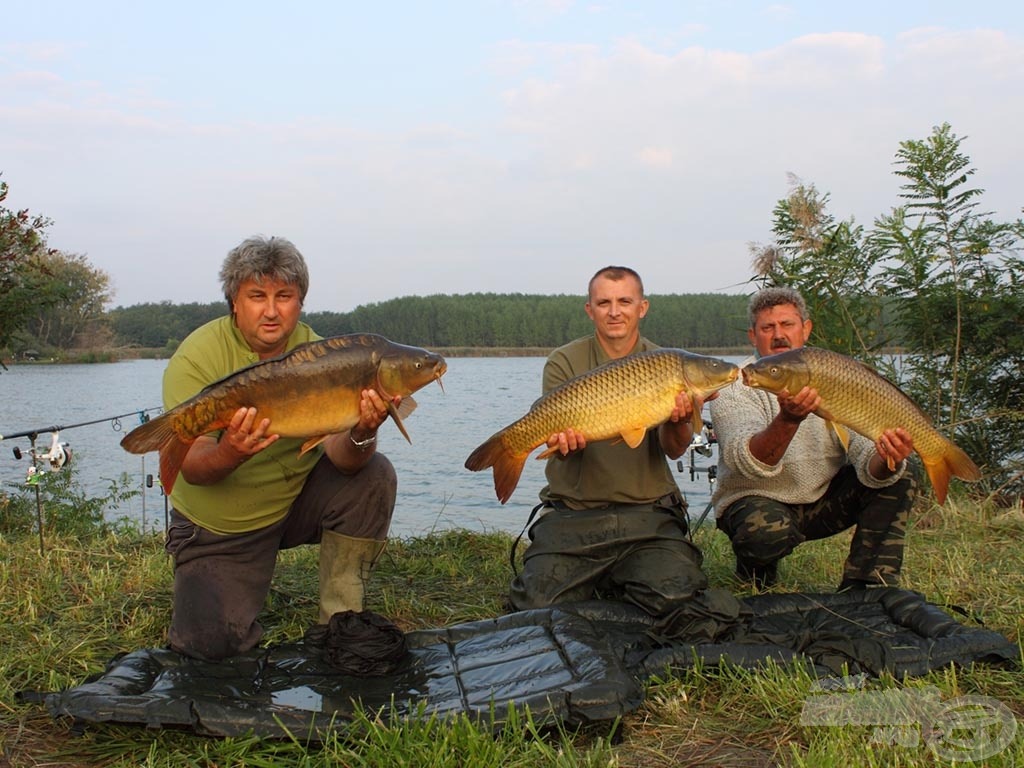 A tavalyi nyertes Tati Dovit Carp Team ismét a győzelmet tűzte ki célul