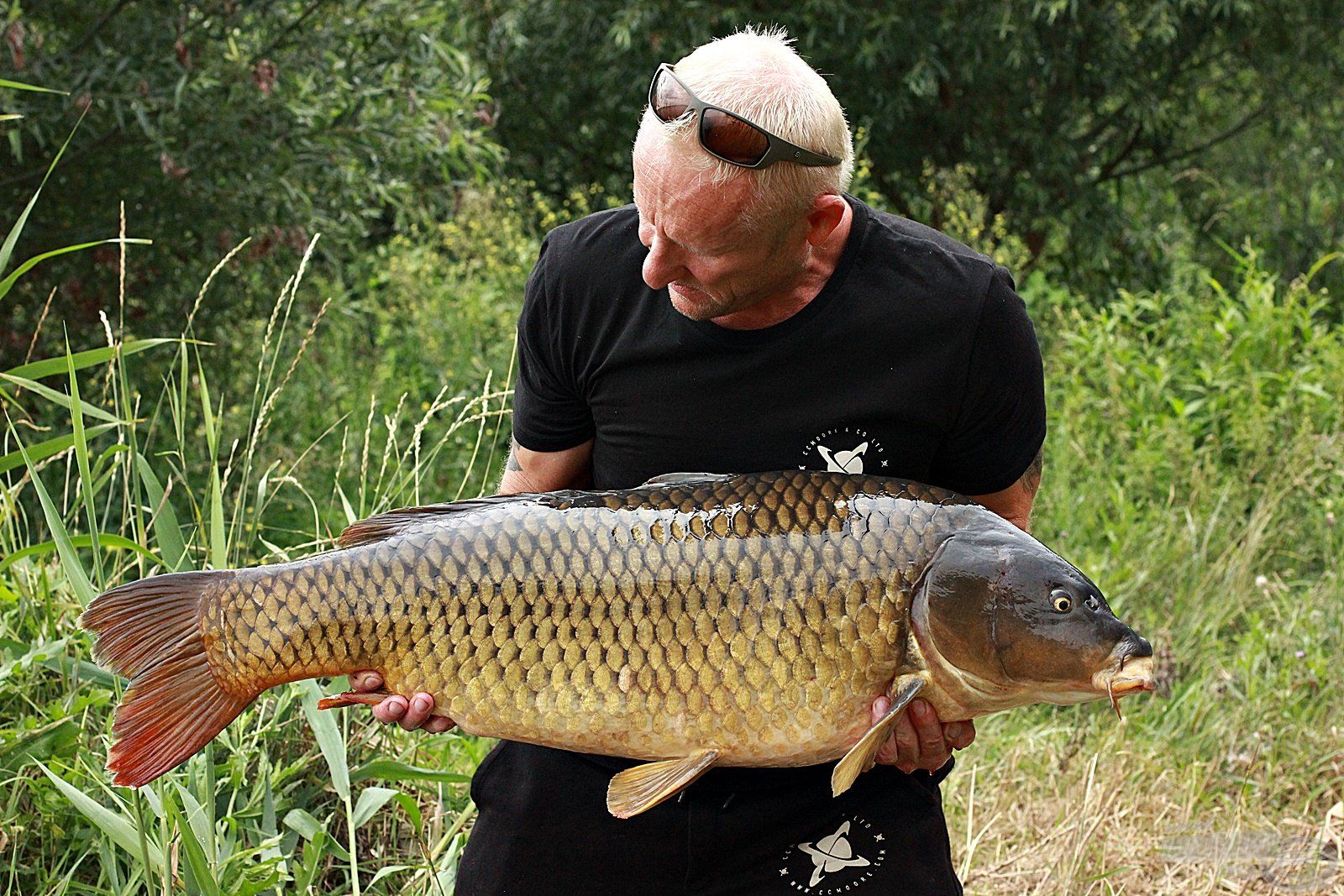 Egy Tisza-tavi őserő 15,80 kg-mal