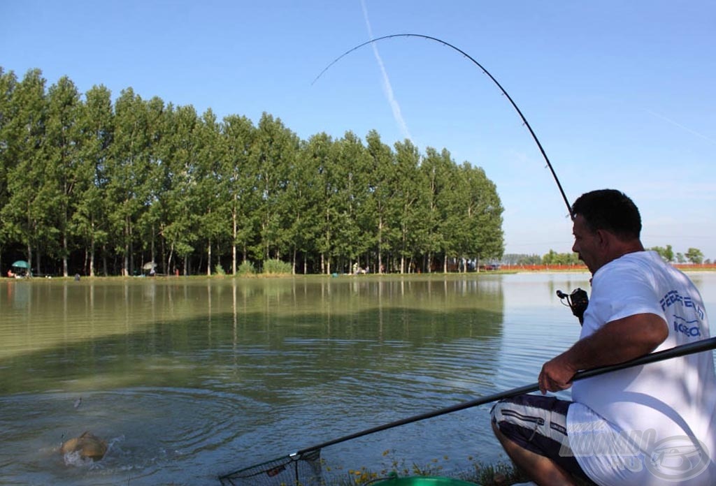 A velük azonos szektorban horgászó Berta Róbert is hamar szákba terelt egy pontyot feederbottal