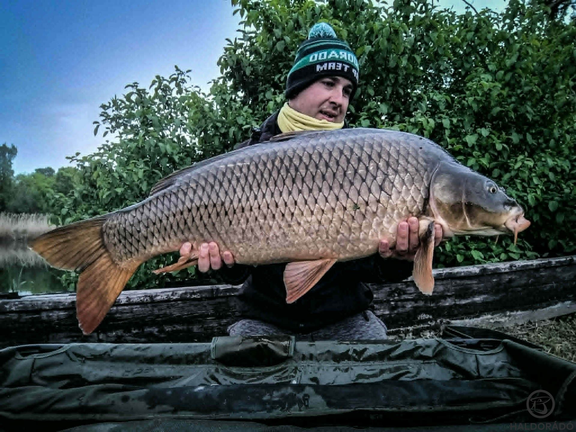 Kalandjaim a Ferenc-csatornán, illetve a Duna-völgyi-főcsatornán 2. rész