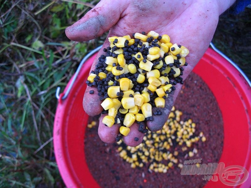 Csemegekukorica és micropellet a termetesebb halak kedvéért