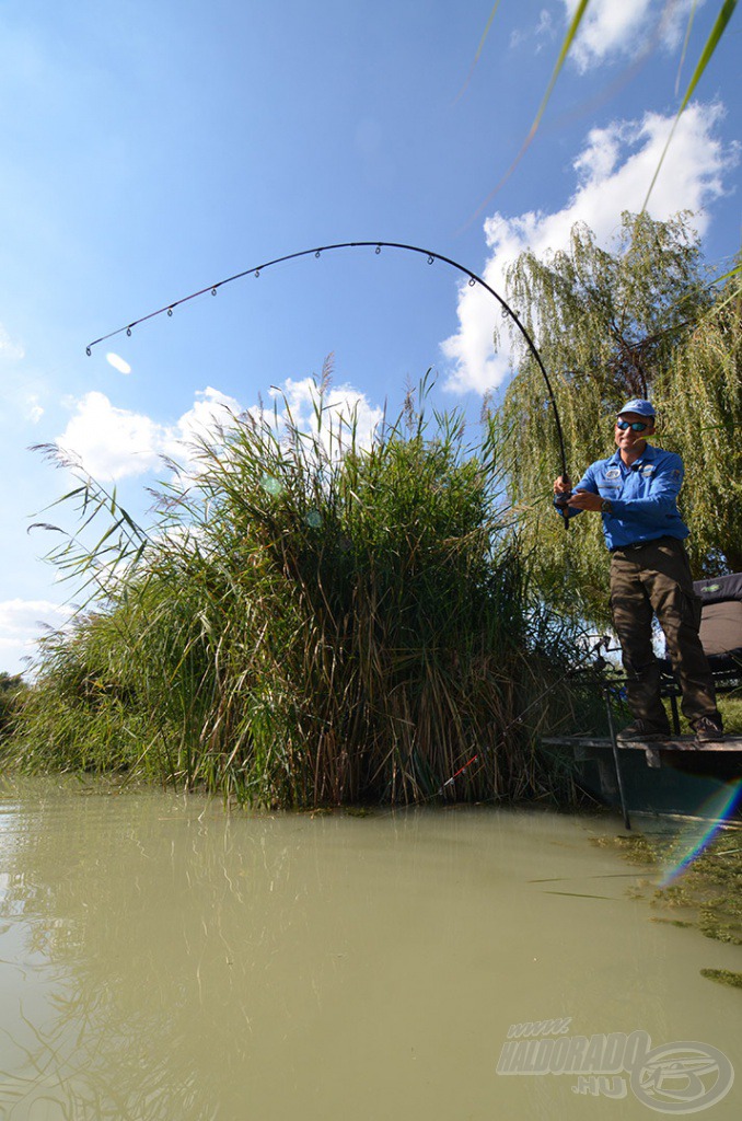 A rövid, 2,7 és 3 méter hosszú Team Feeder Carp Fighter Boat botokkal elfértem a szűk nádnyiladékban, és a termetes halakkal vívott csatákban is hatékony fegyvernek bizonyultak