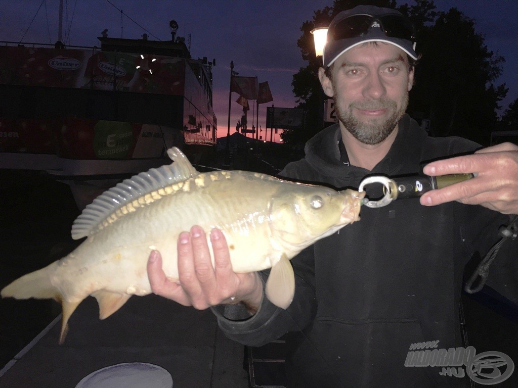 A legnagyobb hal: Jantner Csabi szájba pergette ezt a 41 cm-es pontyot