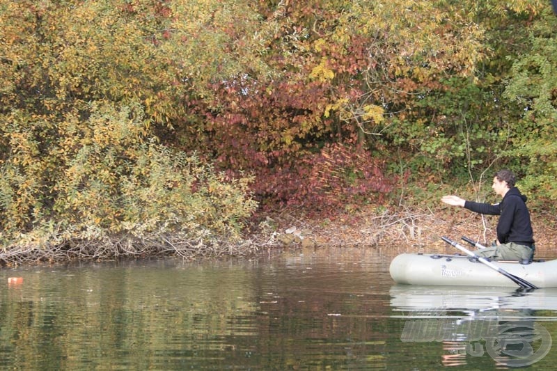 Puhára főzött kukorica és bojli keveréke, melyből kis mennyiséget használnak alapozó etetésnek