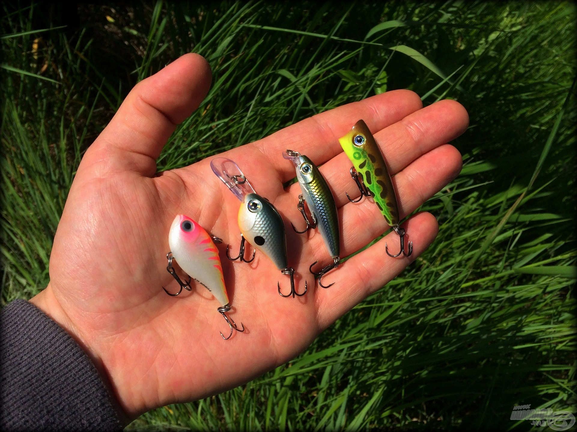 Rapala Ultra Light szekció