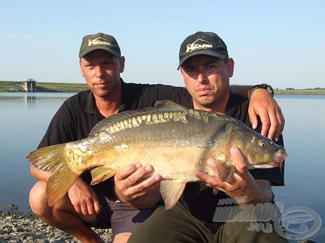 K-Karp Big Carp Team egy lépre csalt tükrössel (Király Attila és Gombos Zoltán fogta ki a bajnokság legnagyobb halát, egy 11,20 kg-os amurt)