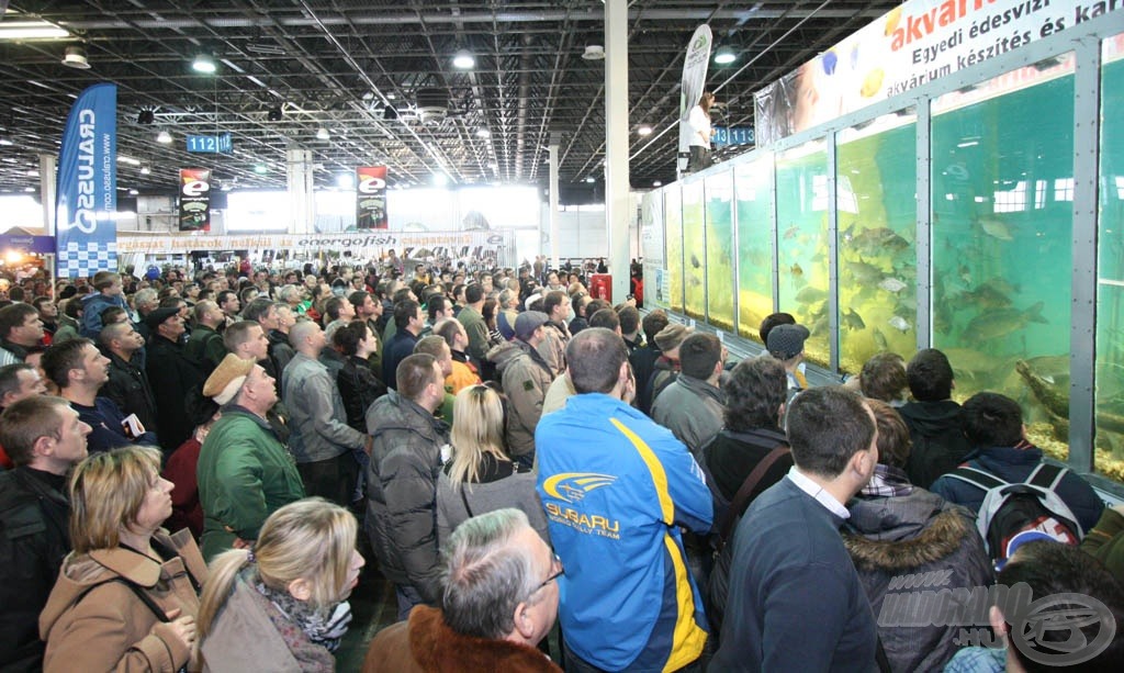 A FEHOVA-n ismét felállításra kerül a rekord méretű - 22.000 literes - giga akvárium